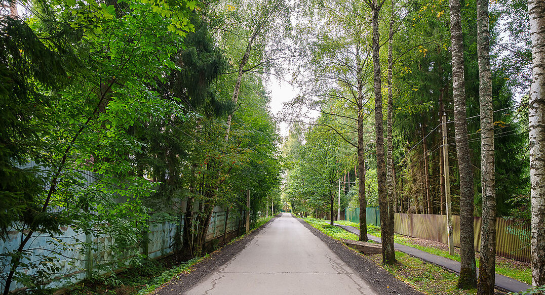 Зеленоградский