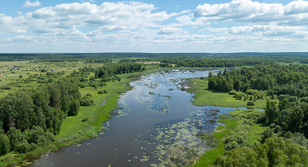 Тихая заводь