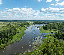 Тихая заводь