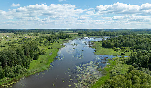 Тихая заводь