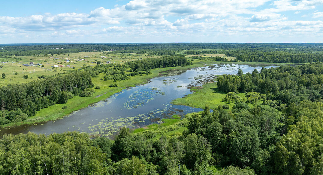 Тихая заводь