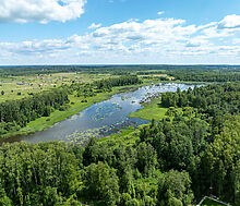 Тихая заводь