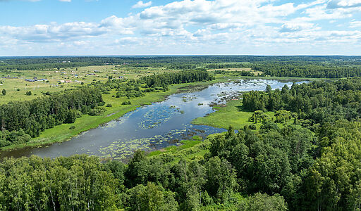 Тихая заводь