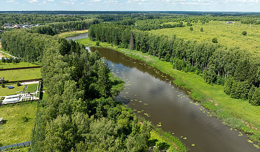 Тихая заводь