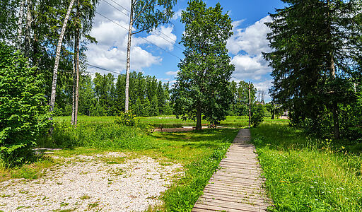 Тихая заводь