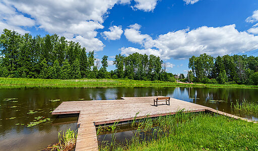 Тихая заводь