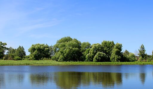 Деревня Белое