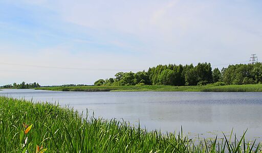 Деревня Белое