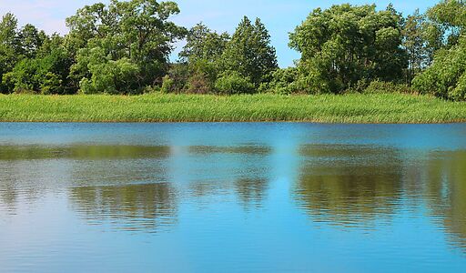 Деревня Белое