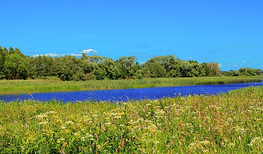 Деревня Белое