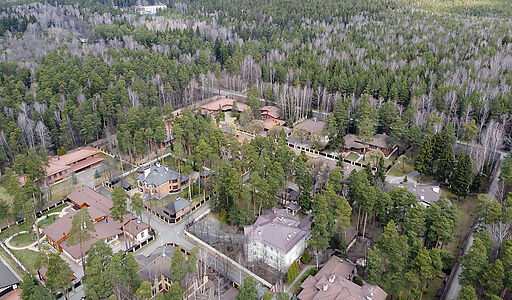 Сосновый Бор