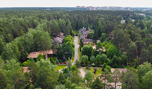 Сосновый Бор