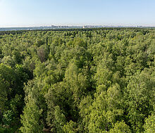 Аббакумово