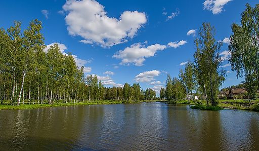 Сдается в аренду дом в Пестово