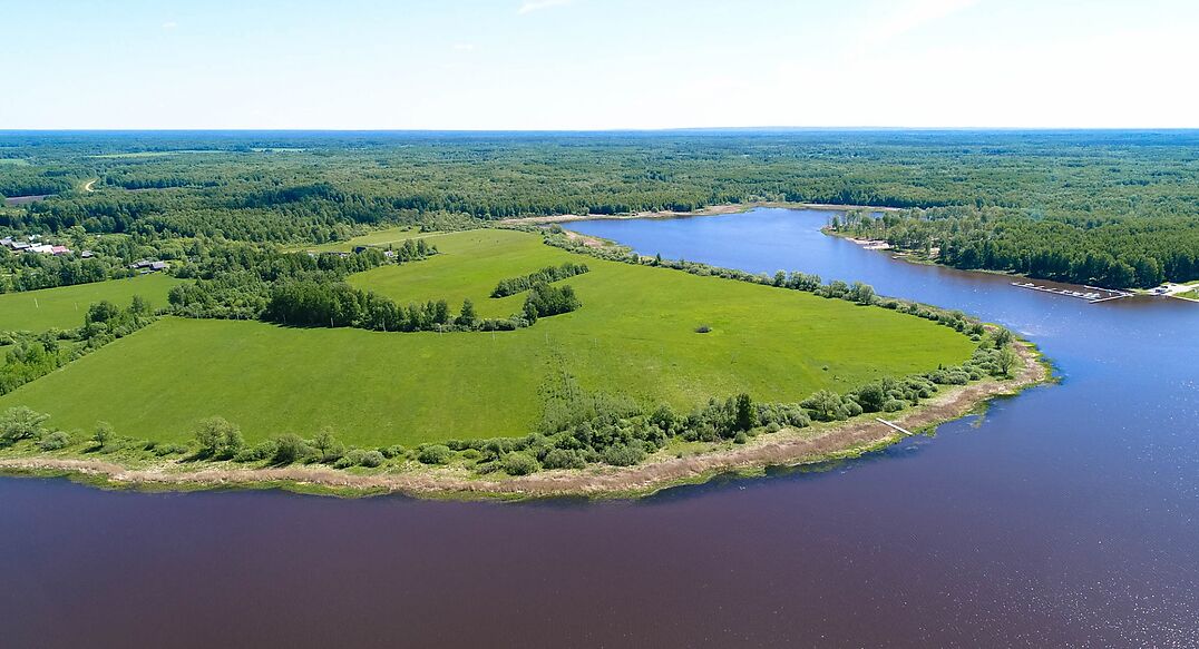 Александровка