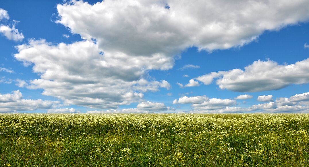 Александровка