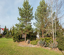 Семь кварталов