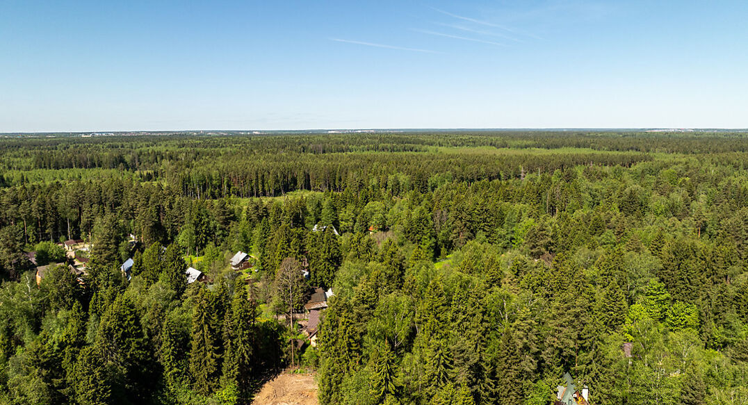 Некрасовский