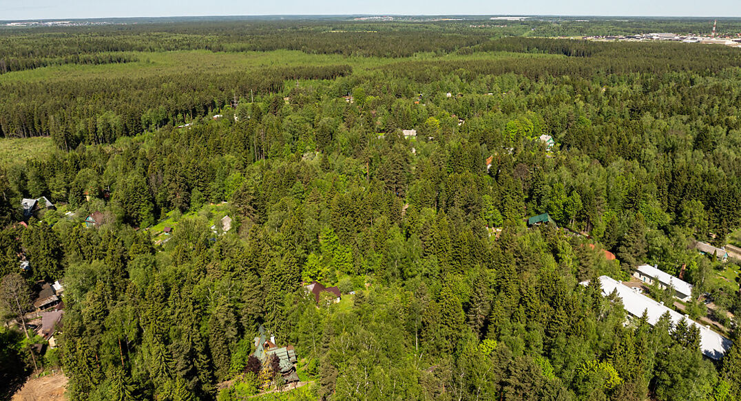 Некрасовский