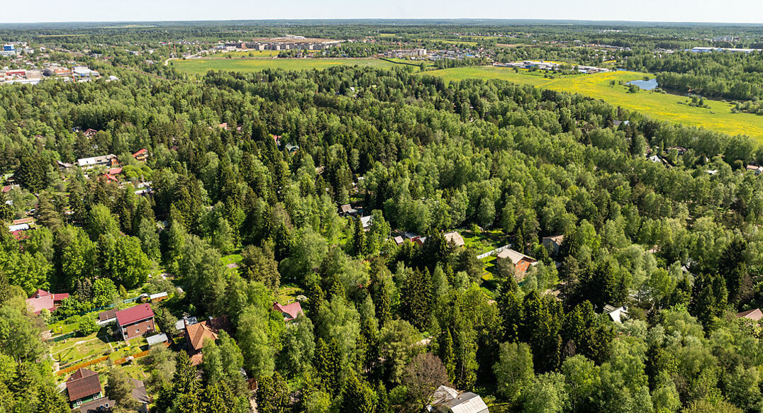 Некрасовский