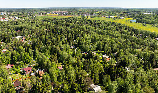 Некрасовский