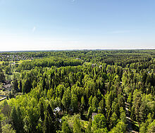 Некрасовский