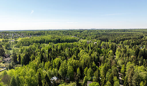 Некрасовский