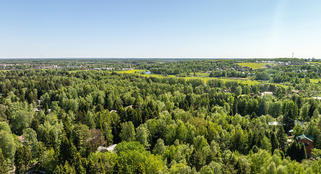 Некрасовский