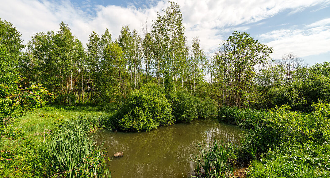 Некрасовский