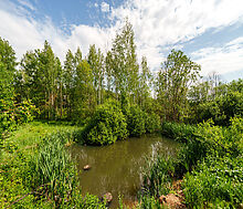 Некрасовский