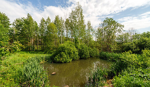 Некрасовский