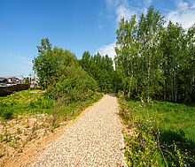 Некрасовский