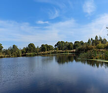 Дом из бруса в КП Панорамы