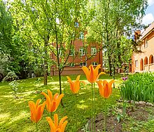 Загородная усадьба в Троицком