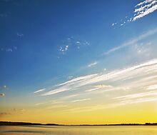 Участок у воды в поселке Нефтино