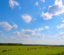 Участок у воды в поселке Нефтино