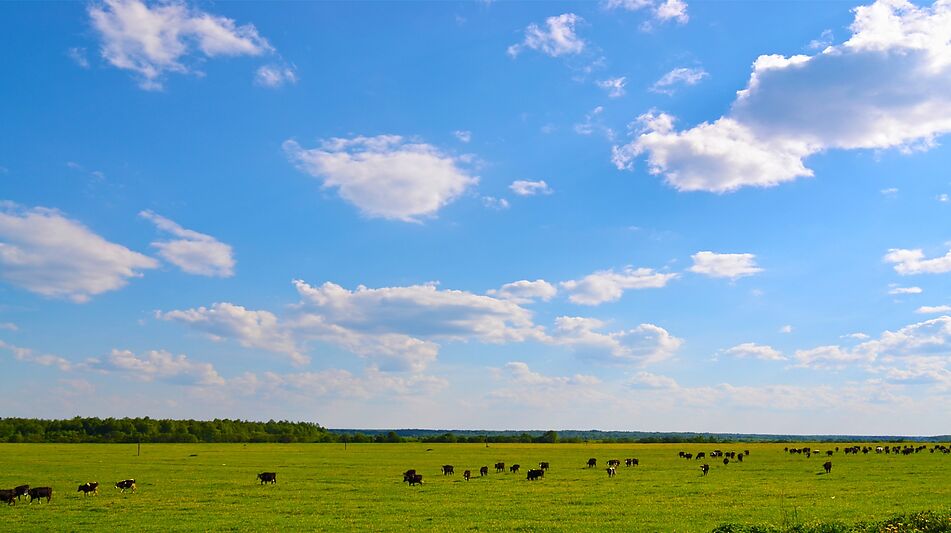 Участок у воды в поселке Нефтино