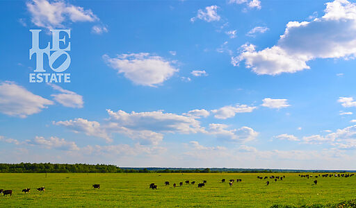 Участок у воды в поселке Нефтино