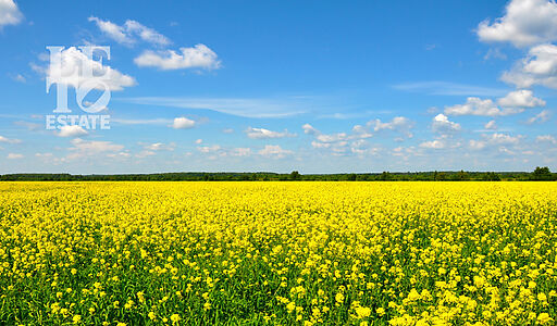 Участок у воды в поселке Нефтино