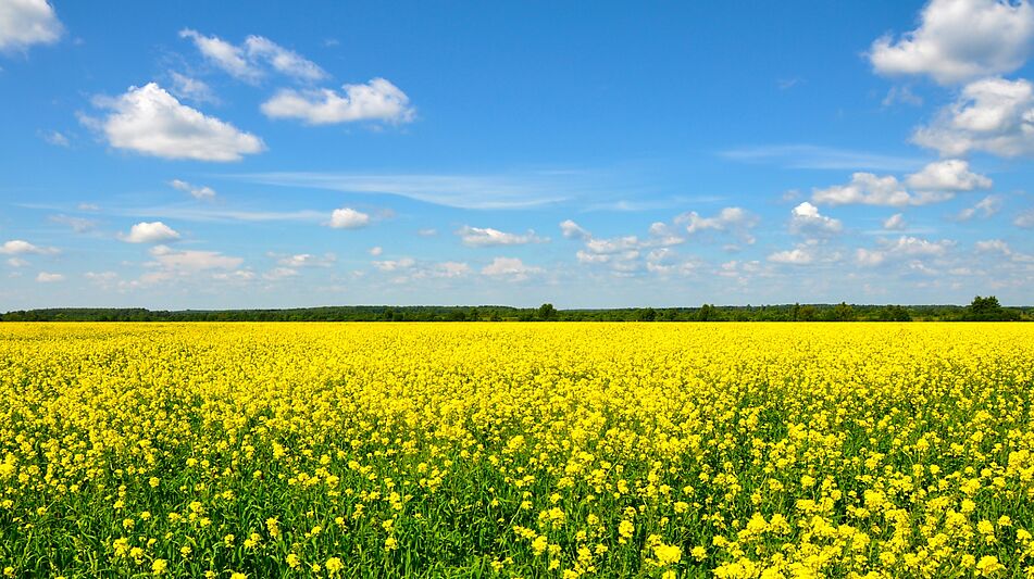 Участок у воды в поселке Нефтино