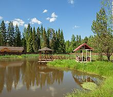 Золотые сосны