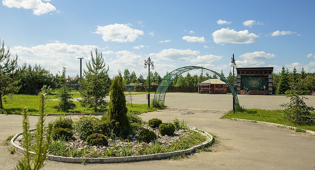 Золотые сосны