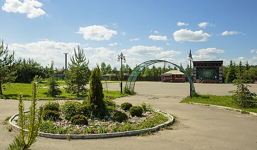 Золотые сосны