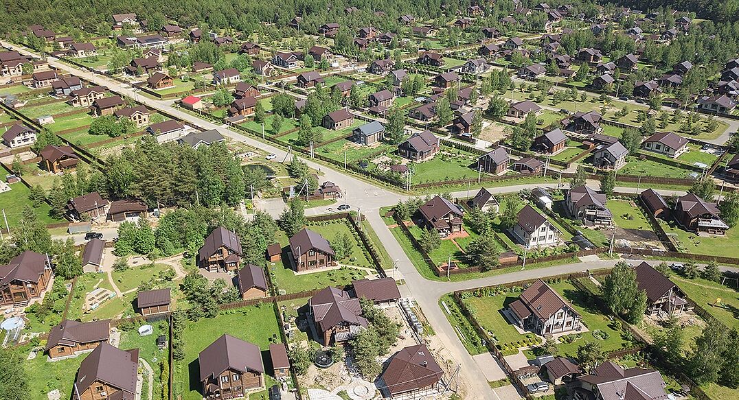 Золотые сосны