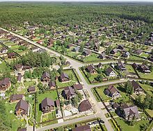 Золотые сосны