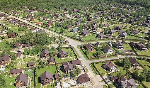 Золотые сосны