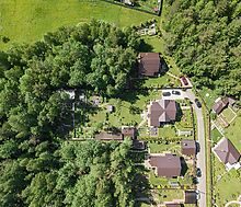 Золотые сосны