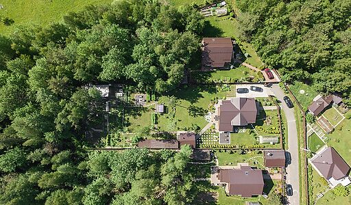 Золотые сосны