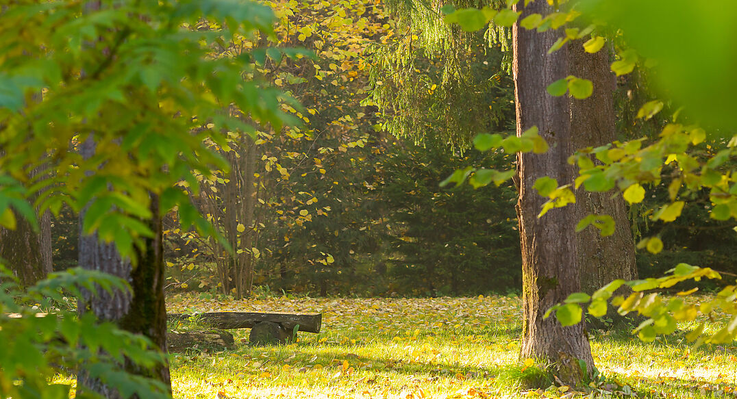 Времена года