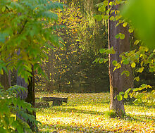 Времена года